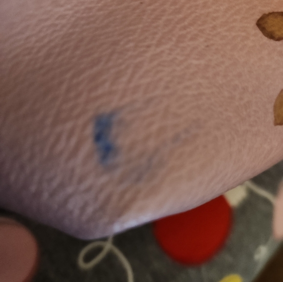 Coach Daisy Floral Print City Signature and Floral Tote Bag Purse - Picture 15 of 15